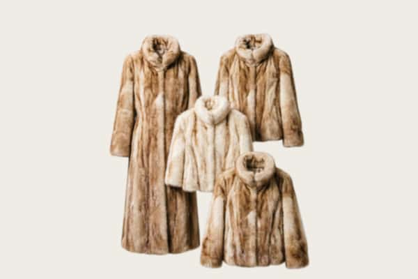桓仁县回收皮草衣服